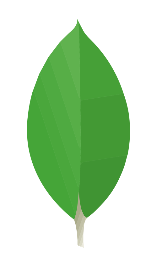 MongoDB Programmer