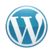 wordpress developer