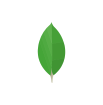 mongodb developer