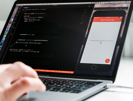 Hybrid App Development